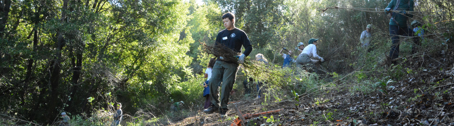 A person carries broom down a hill while other volunteers pull broom in the background
